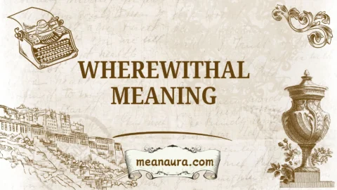 wherewithal meaning