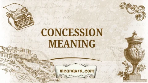 concession meaning