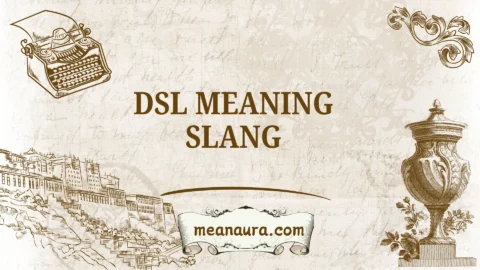 dsl meaning slang