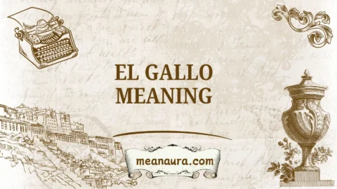 el gallo meaning