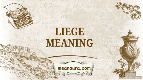 liege meaning