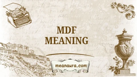 mdf meaning