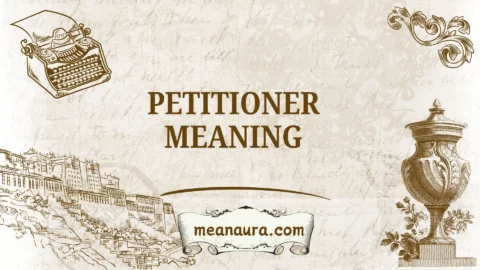 petitioner meaning