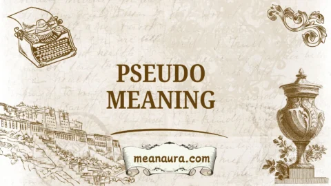 pseudo meaning