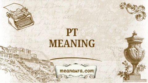 pt meaning