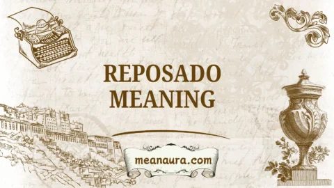 reposado meaning