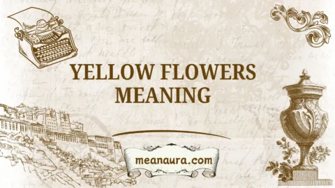 yellow flowers meaning