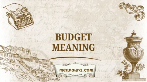 budget meaning