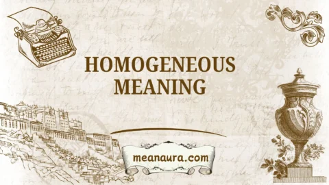 homogeneous meaning