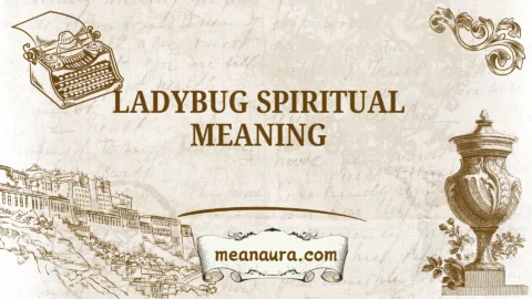 ladybug spiritual meaning