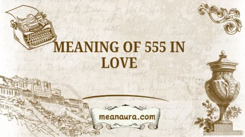 meaning of 555 in love
