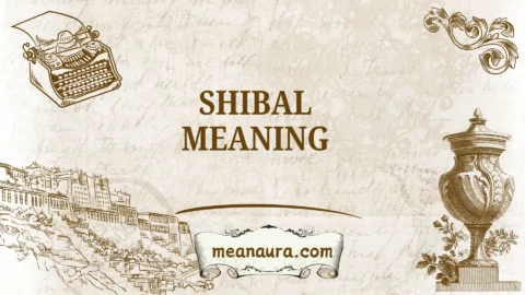 shibal meaning