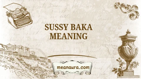 sussy baka meaning
